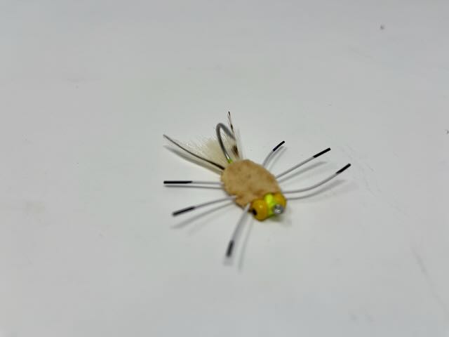 caddis fly Patos Crab