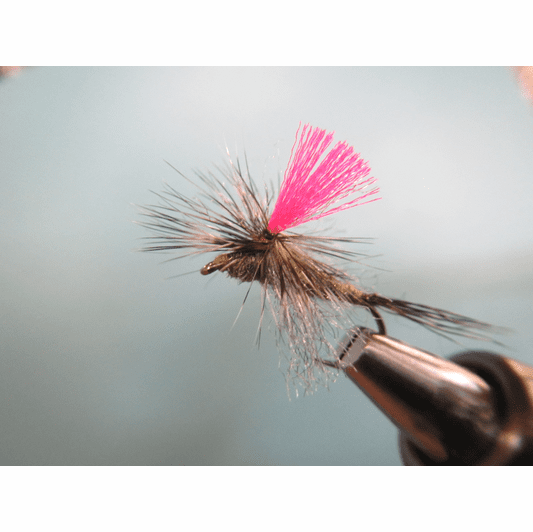 caddis fly Perin's Hi Vis Green Drake