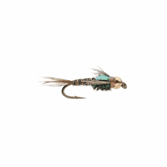 caddis fly Pheasant Tail Flashback
