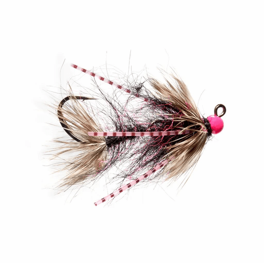 caddis fly Phillips' Pink Dropper