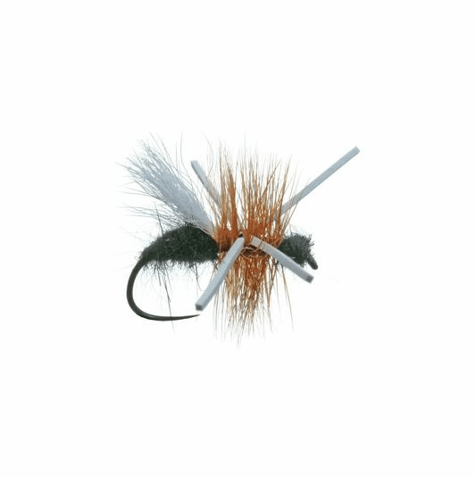 caddis fly Power Ant