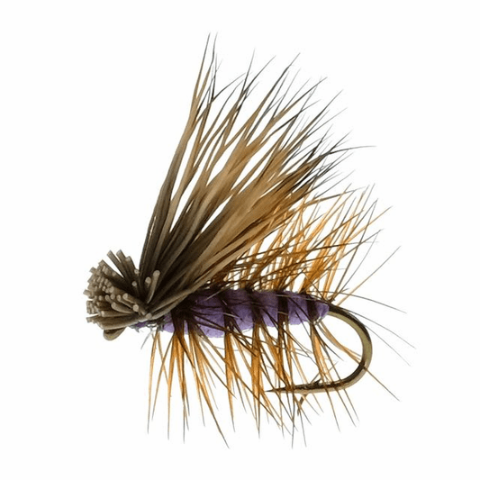 caddis fly Purple Elk Hair Caddis