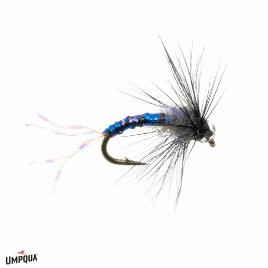 Caddis Fly Purple Haze Emerger
