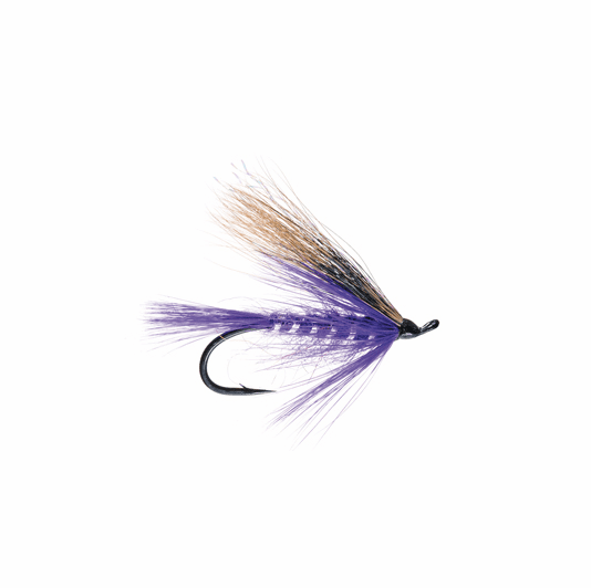 caddis fly Purple Peril