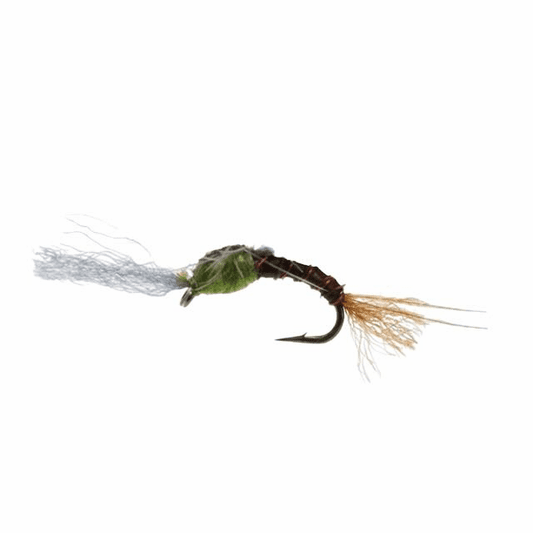 caddis fly Quigley's Film Critic BWO