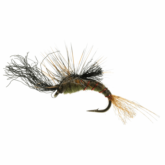 caddis fly Quigley's Film Critic Green Drake