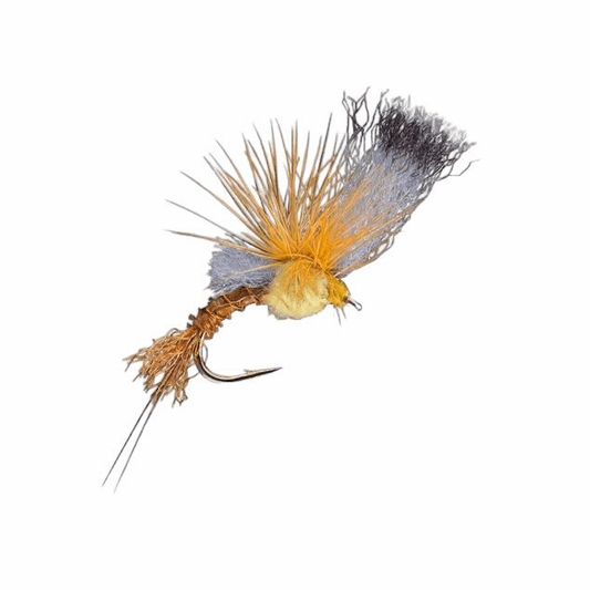 caddis fly Quigley's Film Critic PMD