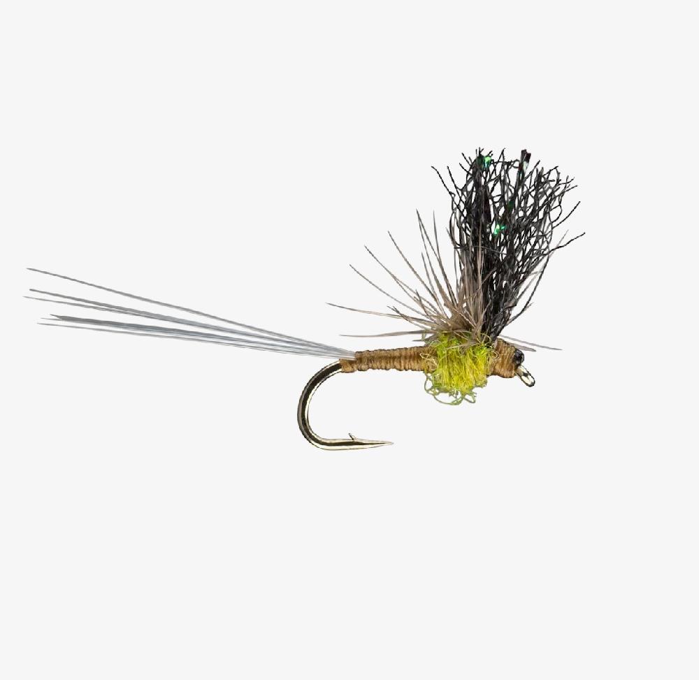 caddis fly Quigley's Split Flag Adams
