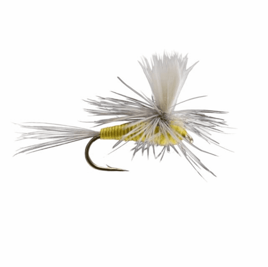 caddis fly Quill Body Parachute PMD