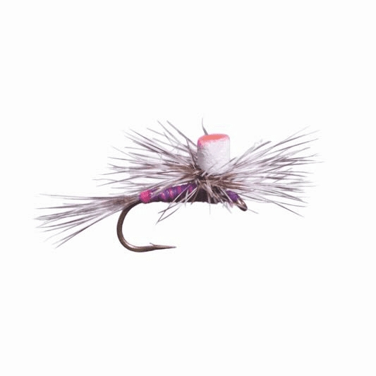 Caddis Fly Rainy's Purple Nurple