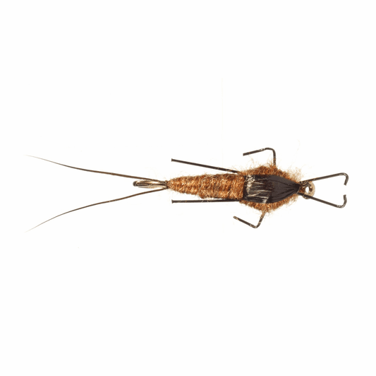 caddis fly Rainy's Real Meal Nymph(3 Pack)