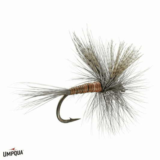 caddis fly Red Quill