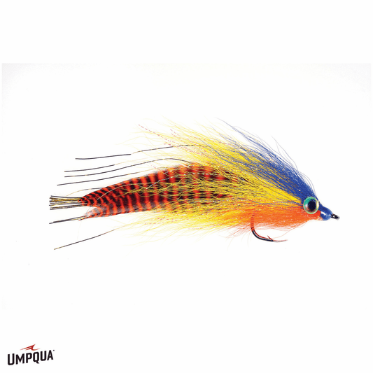 caddis fly Reducer
