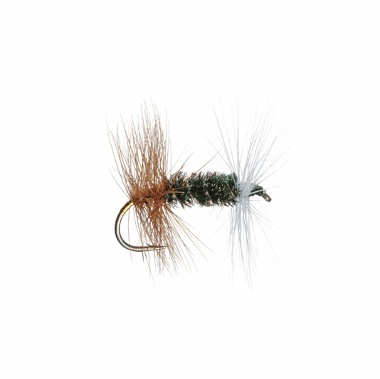 caddis fly Renegade