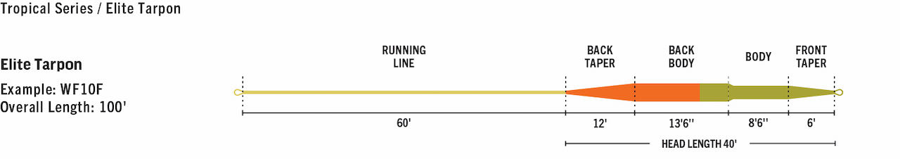 caddis fly RIO Elite Tarpon Line