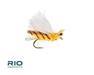 Caddis Fly Rio's Blade Runner Hopper