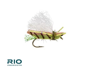 Caddis Fly Rio's Blade Runner Hopper