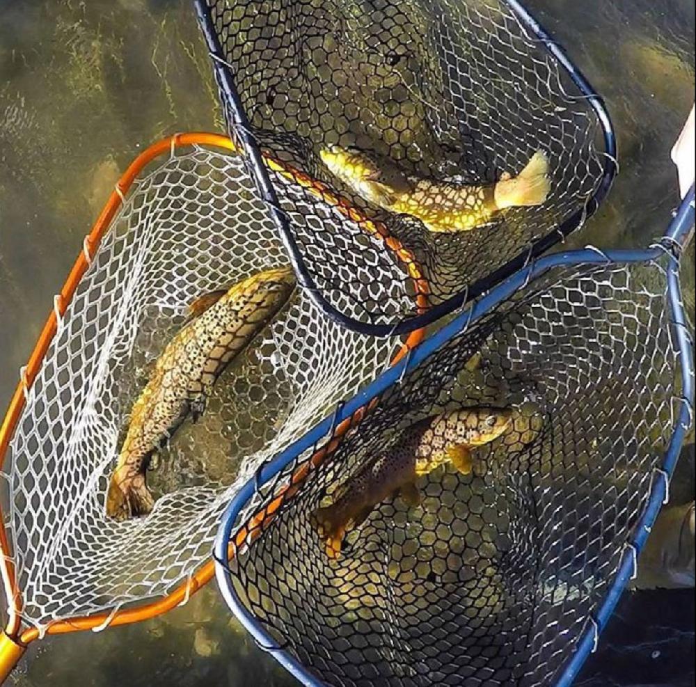 Caddis Fly Rising Lunker Net