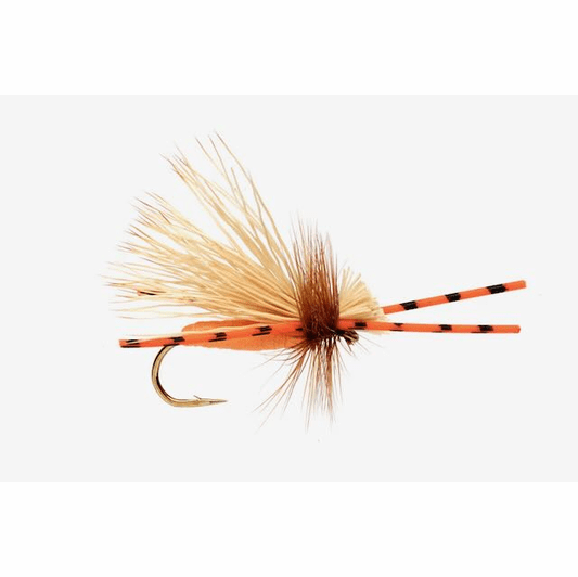 caddis fly Rossenau's Rocktober Caddis