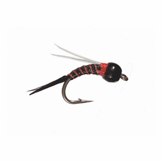 caddis fly Rowley's Black Jack