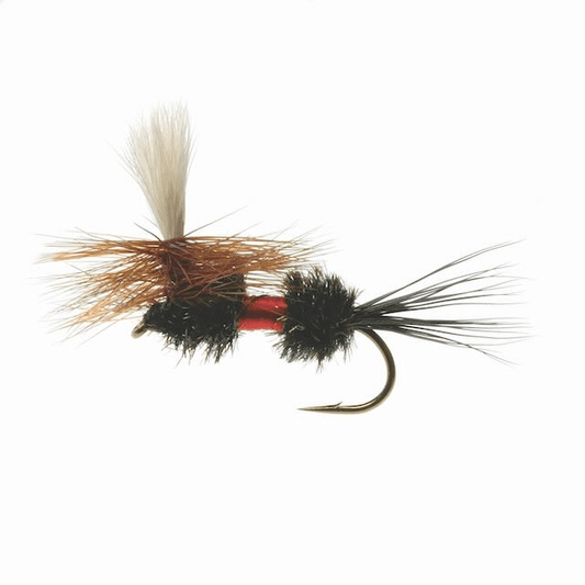 caddis fly Royal Wulff Parachute