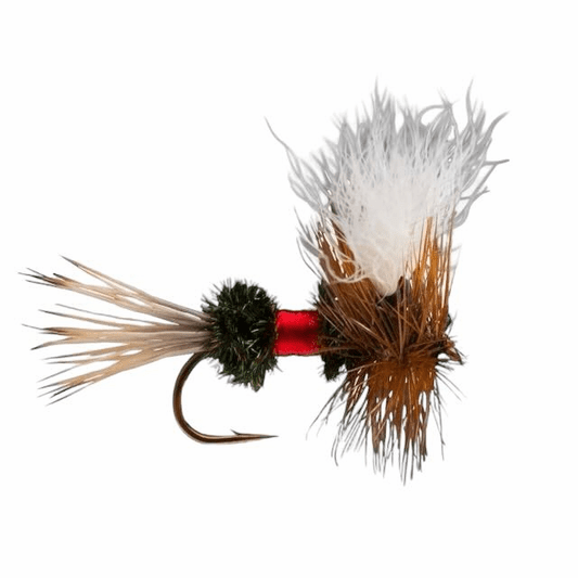 caddis fly Royal Wulff
