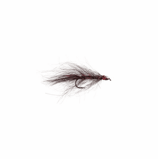 caddis fly Ruby-Eyed Leech