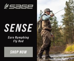 Caddis Fly Sage Sense Euro Nymphing Rod