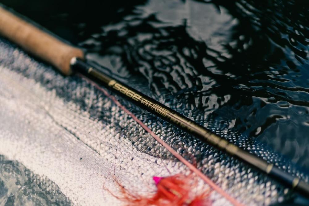 Caddis Fly Sage Spey R8 Rods