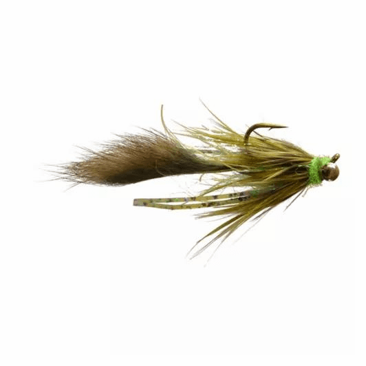 caddis fly Satkowski's Raiders of the Lost Carp
