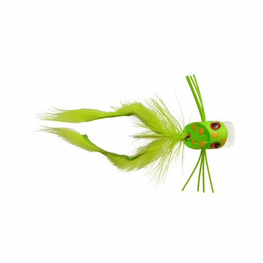 caddis fly Saunder's Swimming Frog