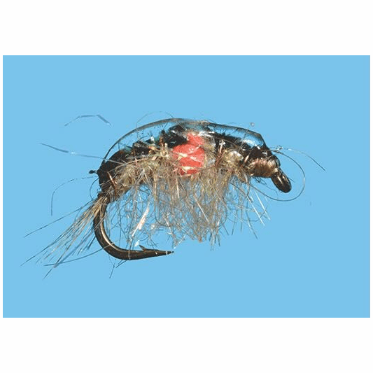 caddis fly Scud Expecting