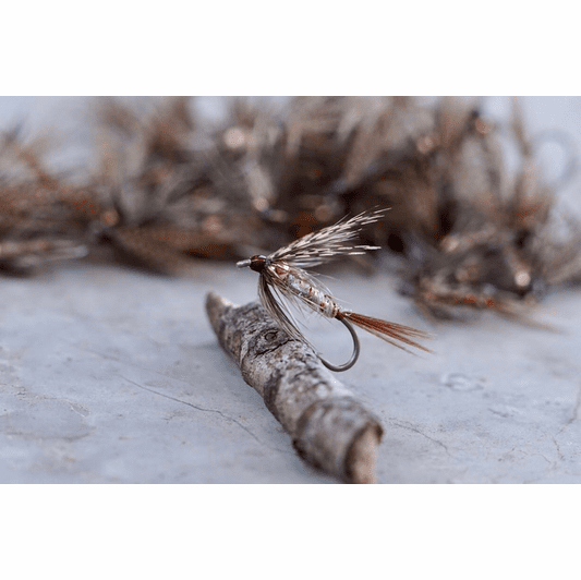 caddis fly Sen's March Brown Wet
