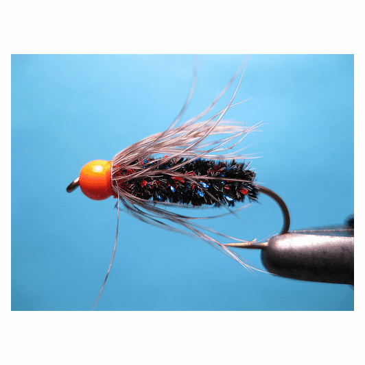 caddis fly Septober Caddis Midnight Fire