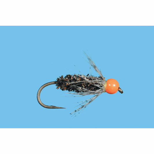 caddis fly Septober Soft Hackle