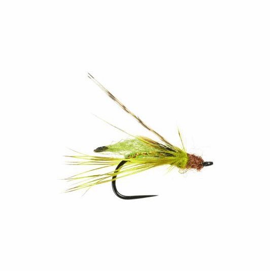 caddis fly Silvey's Primetime Pupa