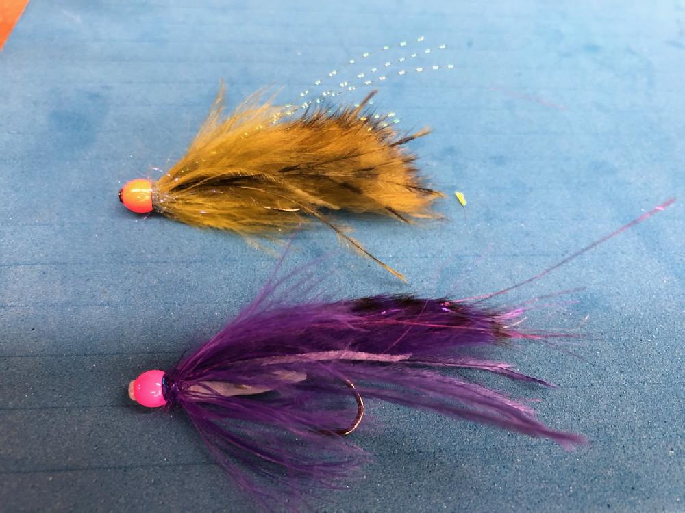 caddis fly Silvey's Silveynator