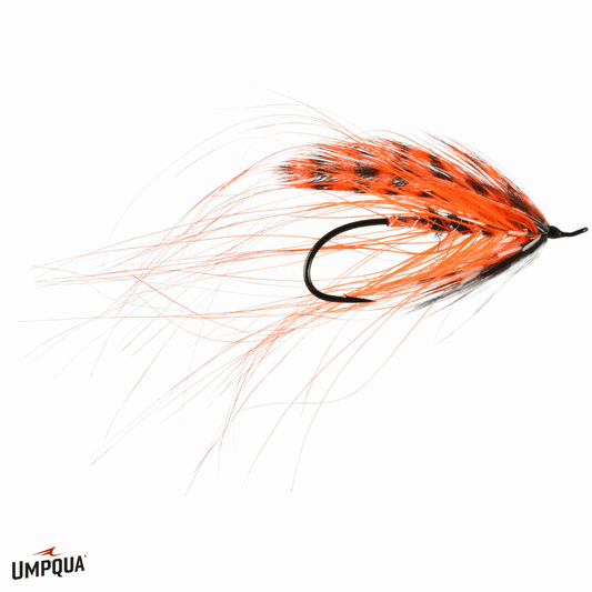 Caddis Fly Silvey's Spey Fly