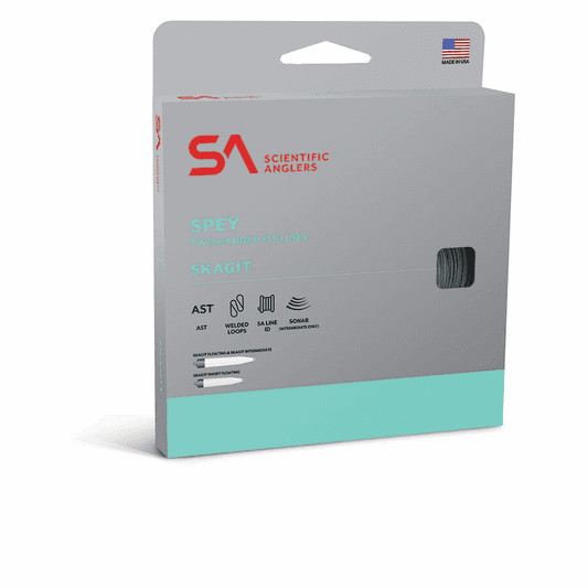 caddis fly Skagit Spey Head