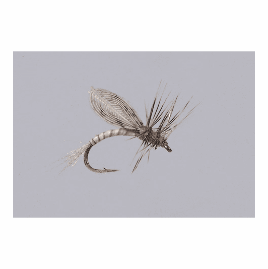 caddis fly Smith's Emerger Callibaetis