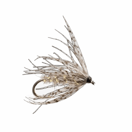 caddis fly Soft Hackle Hare's Ear