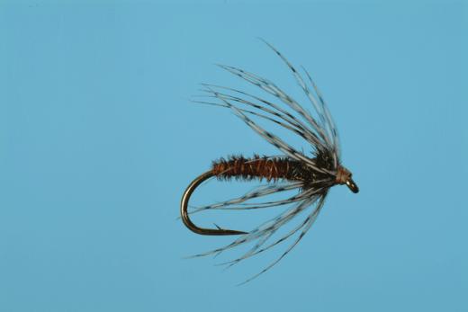 Caddis Fly Soft Hackle