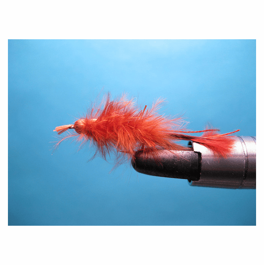 caddis fly Son of Crazy Dad # 12