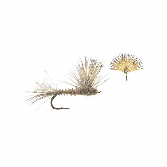 Caddis Fly Sparkle Dun BWO