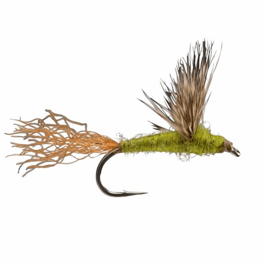caddis fly Sparkle Dun