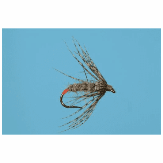 caddis fly Spectre Soft Hackle