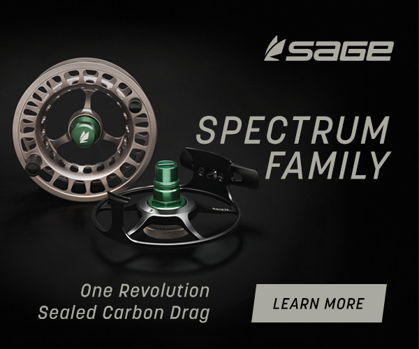 Caddis Fly Spectrum LT Fly Fishing Reel