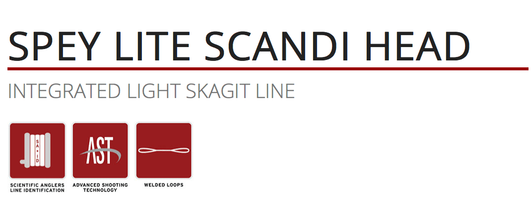 caddis fly Spey Lite Scandi Head