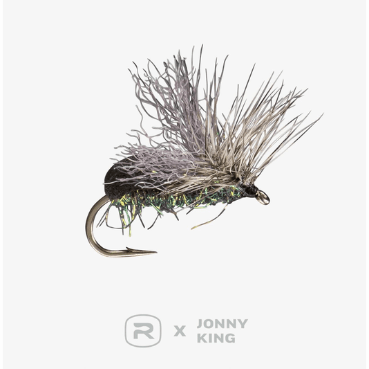 caddis fly Splitzville Beetle