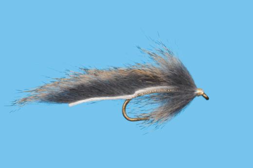 caddis fly Squirrel Leech